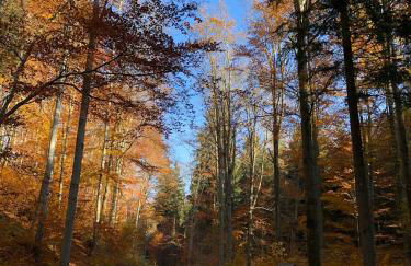 Villa Hainberg - Foto 73