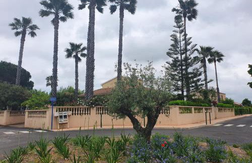 Villa les palmiers -Stretta di i mandarini - Foto 39