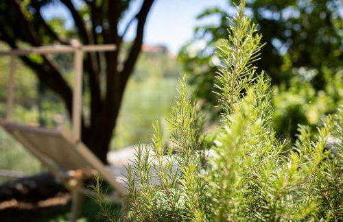 U Ciousu by Ligurian Life APPARTAMENTI IN AGRITURISMO - Foto 65