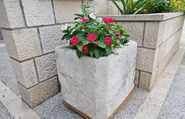 Green Garden House - Photo 36