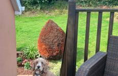 Garden View Apartment - Foto 5