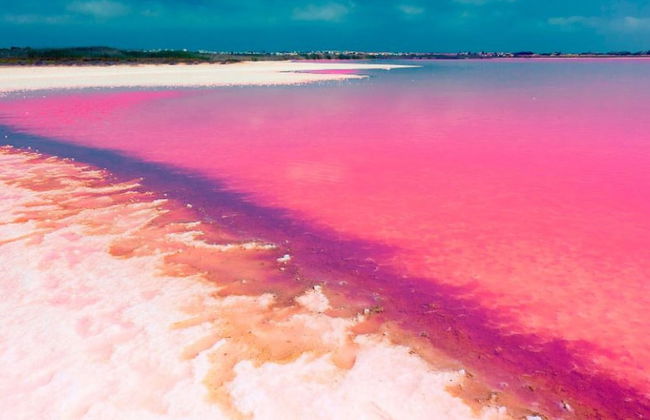 Belvilla by OYO Chalet San Miguel de Salinas - Foto 25