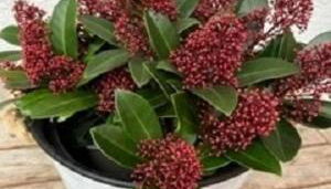 Ferienwohnung Am Rimbach - Foto 5, Other