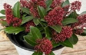 Ferienwohnung Am Rimbach - Foto 5