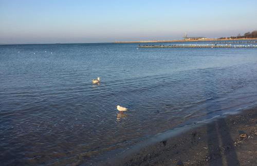 Ferienhaus Arielle - Foto 28