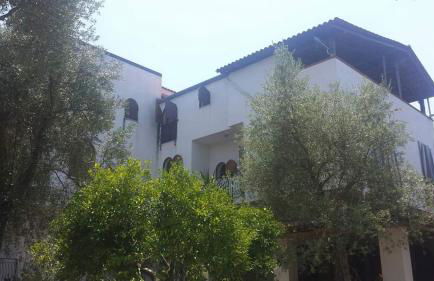 L' Agrumeto - Photo 47