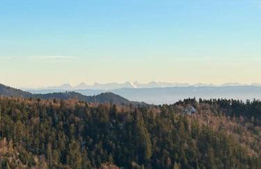 La Fermette des Vallons - Jacuzzi - Billard - Foto 23