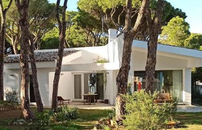 Diseño y luz entre los pinos - Foto 1