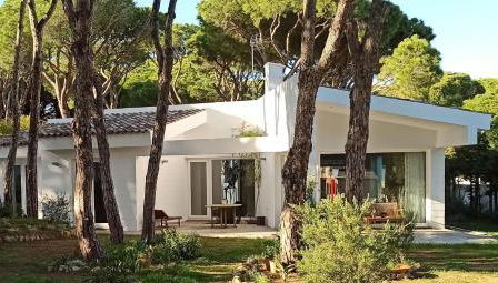 Diseño y luz entre los pinos - Foto 1