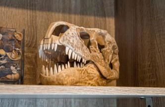 Jurassique Appart - Foto 12