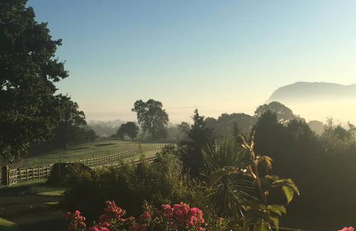 Gaer Fawr Barns - Photo 12