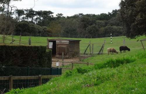 Appartement vue sur golf - Foto 27