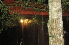 Dom w Szkotowie - Foto 20