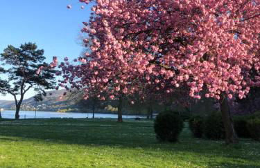 Relax-Fewo-Rösch - Foto 33