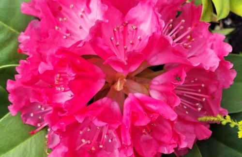 Casa Rural Areano - Foto 91