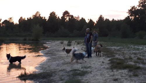 La chambre du Gaille - Foto 5