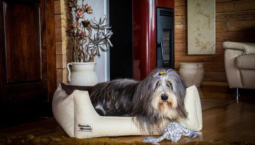 Ferienhaus Wickie - Foto 2