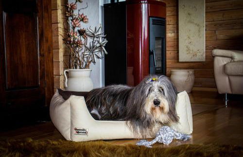 Chalet Wickie - Foto 2