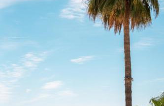 SEA YOU SOON - Foto 10