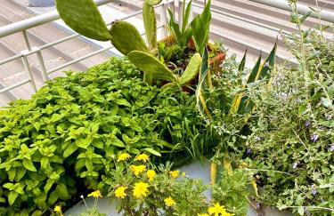 Downtown apartment - Foto 30