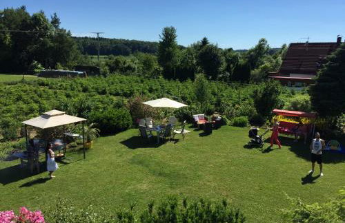 Tannenblick-Franken - Foto 23