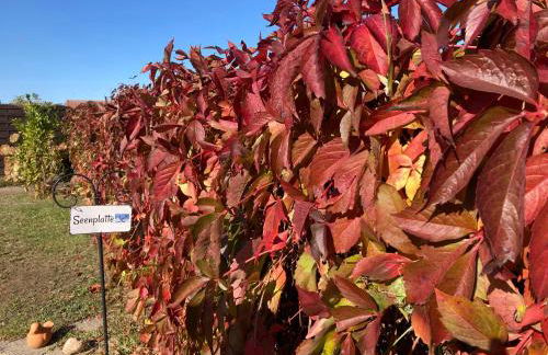 Drehbrücke - Foto 22