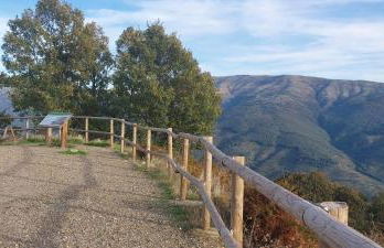 El Cantillo del Jerte - Foto 43