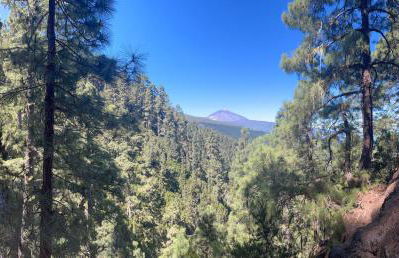 Apartamento Los Picachos, Poris de Abona - Foto 59