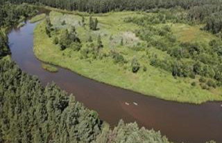 Apartamenty Rodzinne Pilica PARK - Foto 38