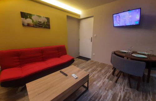 3 Apt T2 COSY de 40 à 50 M2 Idéal pour un déplacement PRO " Les IRIS " - Foto 17