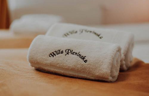 Willa Pienińska - Foto 7