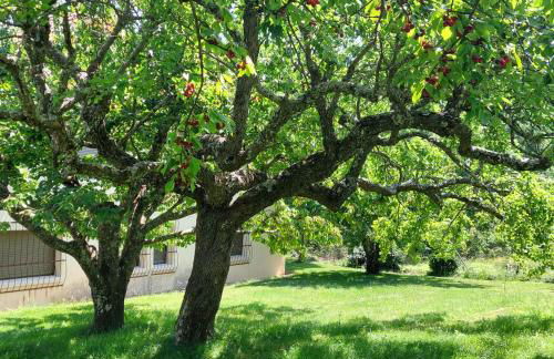 Puente Canto de Gredos - Photo 25