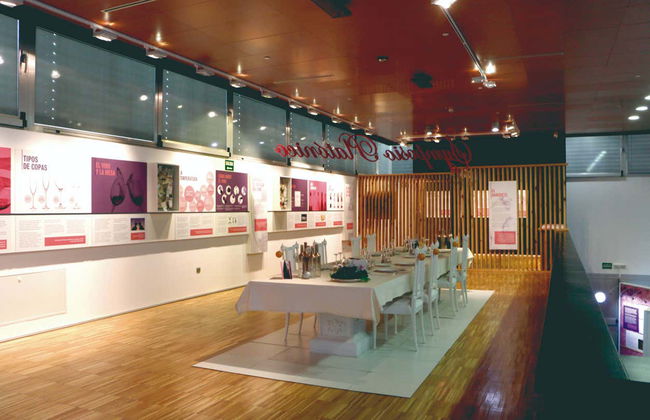 Visite guidée du musée Torre del Vino - Photo 3