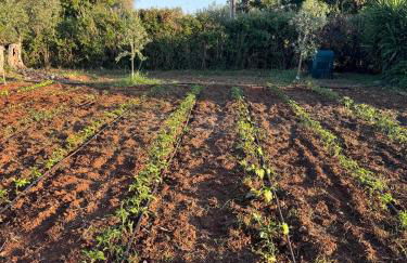 Dimore Opuntia - Foto 17