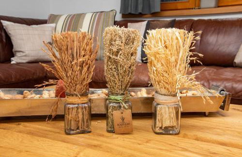 RACHEL BASECAMP - Foto 10