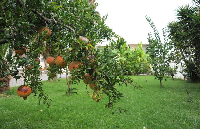 Evilion Hotel - Foto 43