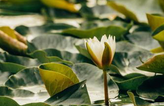 Rudine 41 - Off-Grid Riverside Home - Foto 31