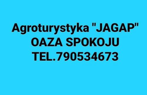 Agroturystyka "JAGAP" OAZA SPOKOJU - Foto 30