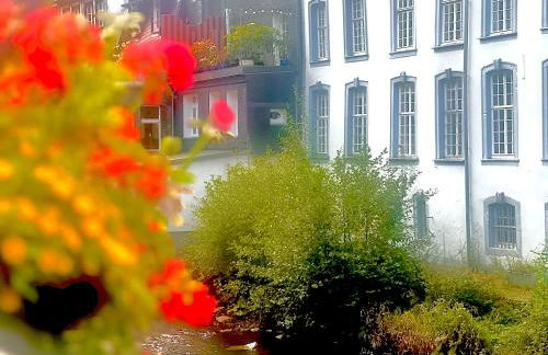 Ferienhaus EifelOne - Panorama - Foto 49