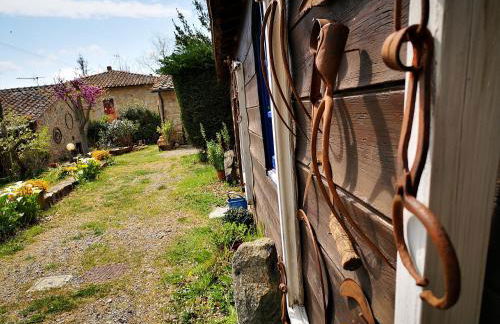 Agriturismo Grecinella - Foto 62