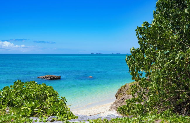 Mr.KINJO in GUSUKU - Foto 42