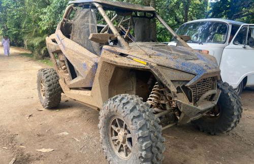 Apartamento Encantador em Bananeiras - Photo 12