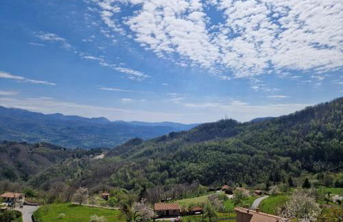 Casetta della chiocciola - Foto 11