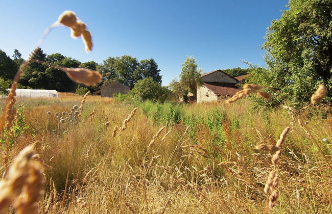 Spacious Gite With Large Terrace - Foto 39