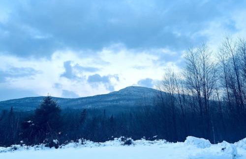 Lany Mae's Getaways - 20 min to Stowe - NO extra fees - Photo 4