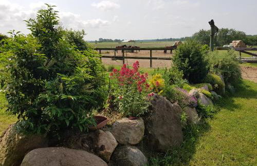 Reitanlage Duffner - Foto 15