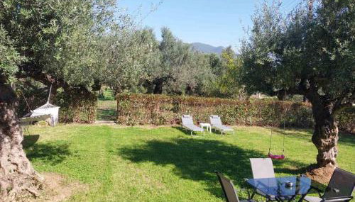 Olive Harmony House - Foto 2
