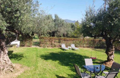 Olive Harmony House - Foto 34