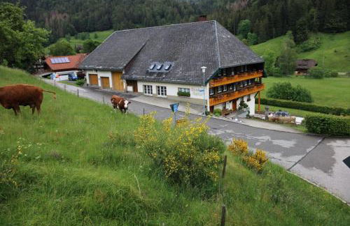 Ferienwohnung Talblick - Foto 9
