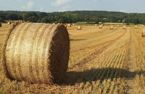 Türnau Modern retreat - Foto 17